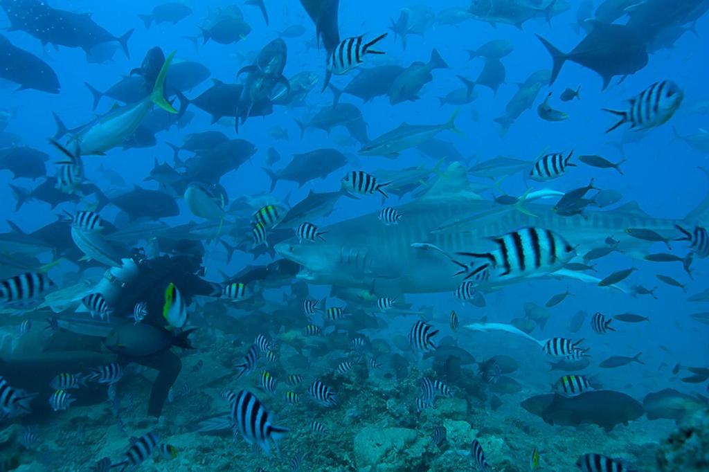 Beqa Lagoon Resort Raviravi Екстер'єр фото